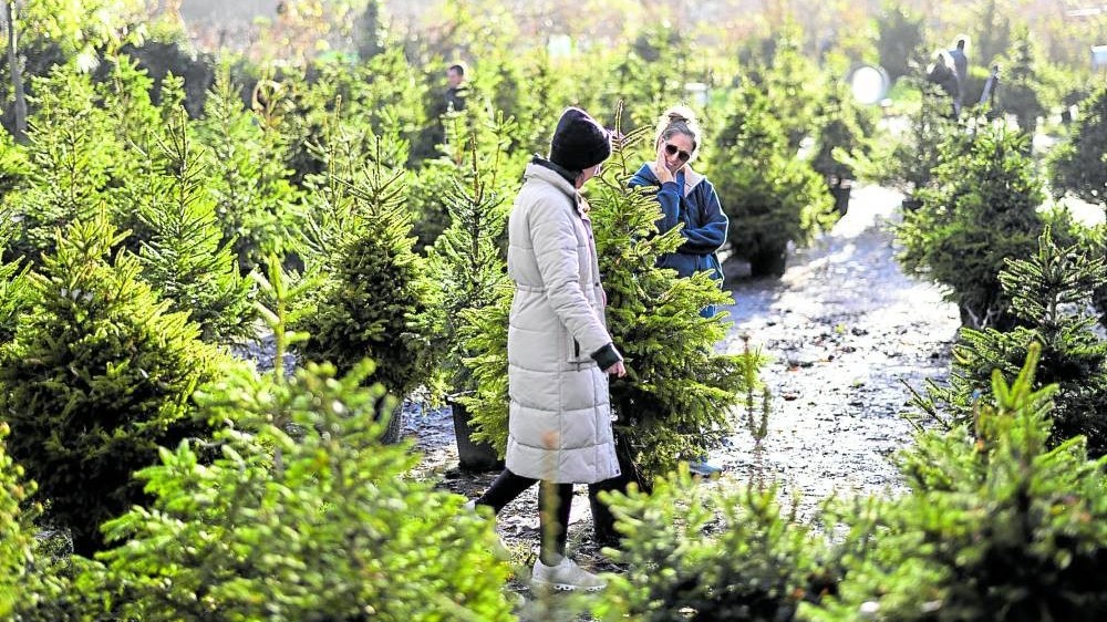 Argentina hy vọng đại sứ mới sẽ giúp xoa dịu Trung Quốc