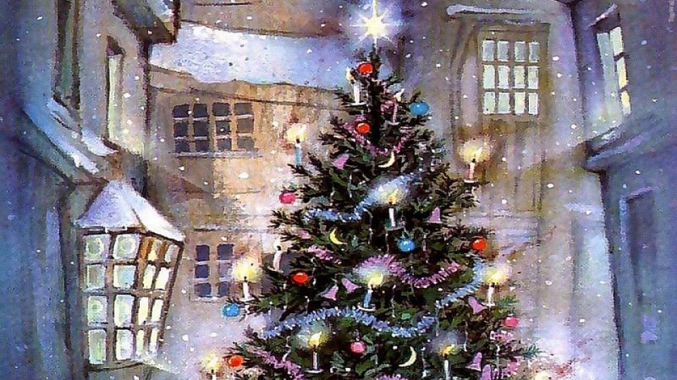 Điểm cho thuê cây thông Giáng sinh tăng mạnh tại Anh