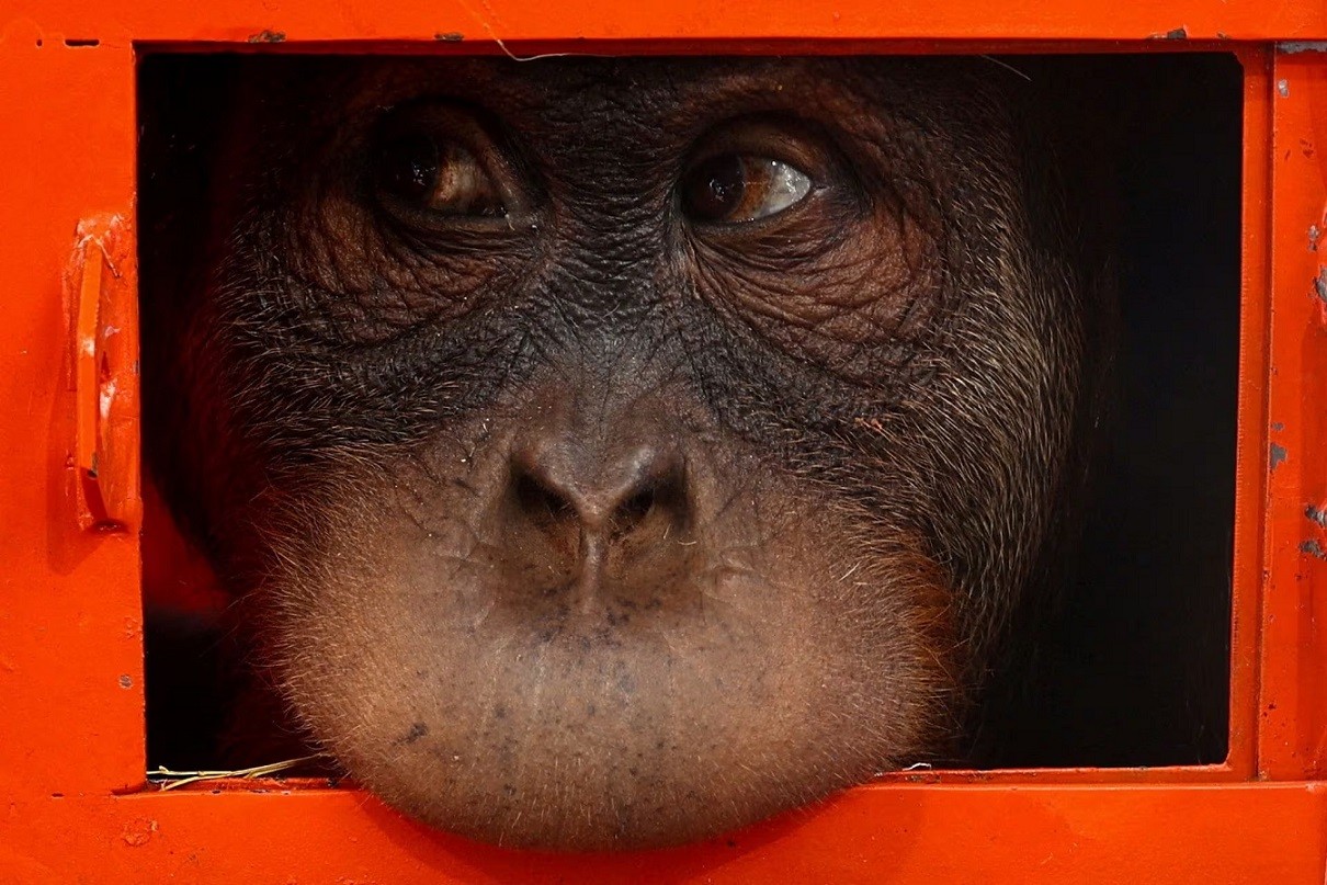 Ảnh ấn tượng (18-24/12): Nga thừa nhận bị ‘qua mặt’ nhưng đối thủ không thành công, Ukraine hạ 3 máy bay Su-34, quân Israel thị sát đường hầm Hamas