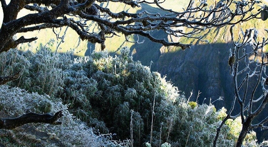 sương muối sương muối