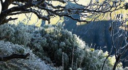 Lào Cai: Sương muối và băng giá tiếp tục phủ trắng đỉnh Fansipan