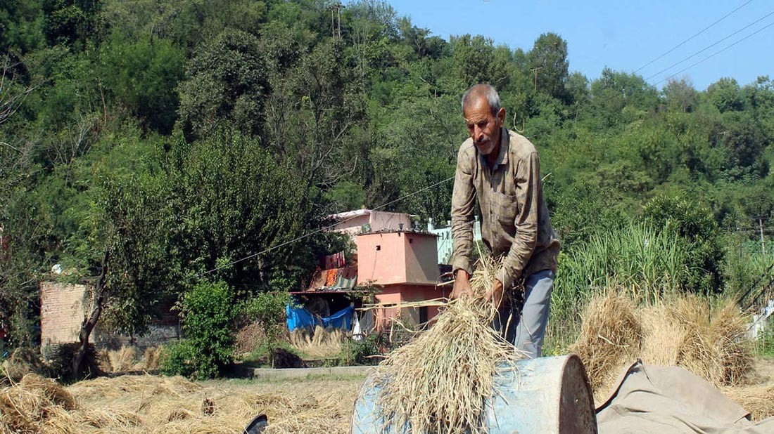 Nga gia hạn lệnh cấm xuất khẩu gạo đến hết tháng 6/2024