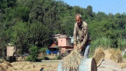 Nga gia hạn lệnh cấm xuất khẩu gạo đến hết tháng 6/2024