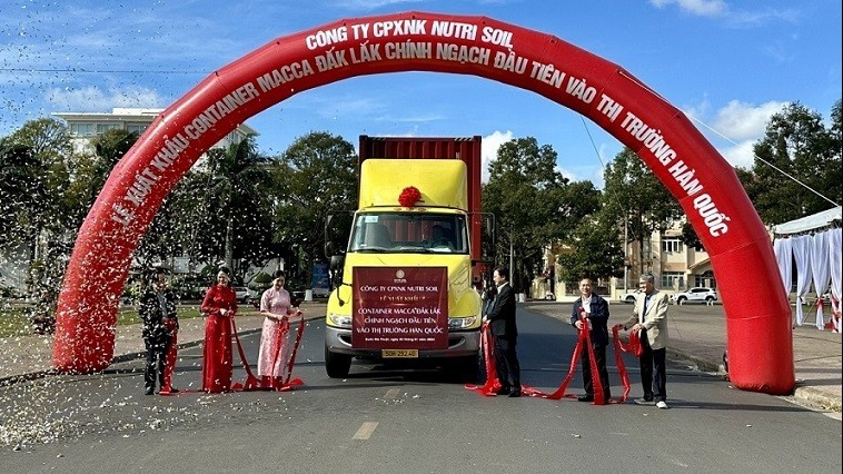 Lô macca Đắk Lắk chính ngạch đầu tiên vào thị trường Hàn Quốc