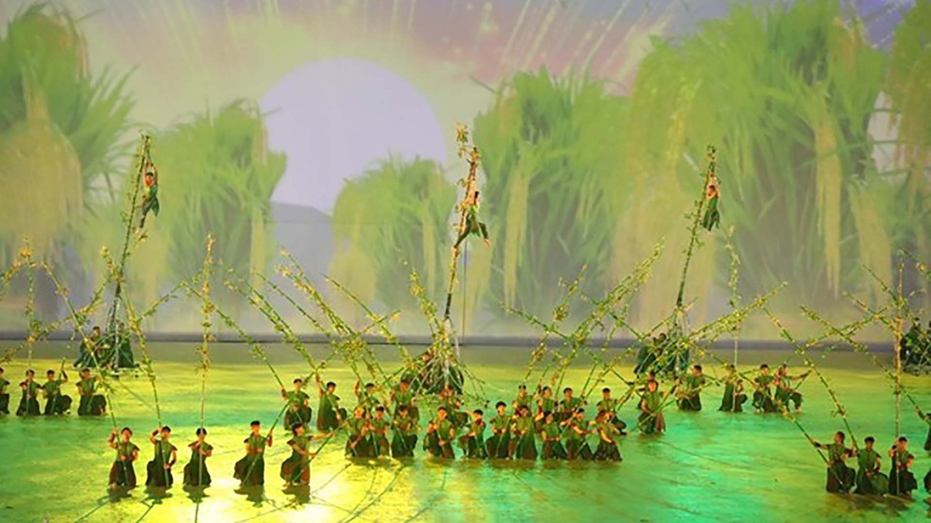 Từ bình minh vàng, lũy tre làng đến ngoại giao cây tre