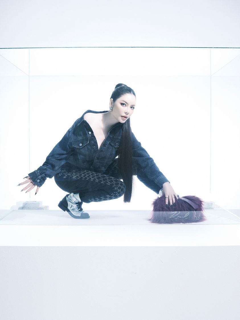 Diễn viên Lý Nhã Kỳ