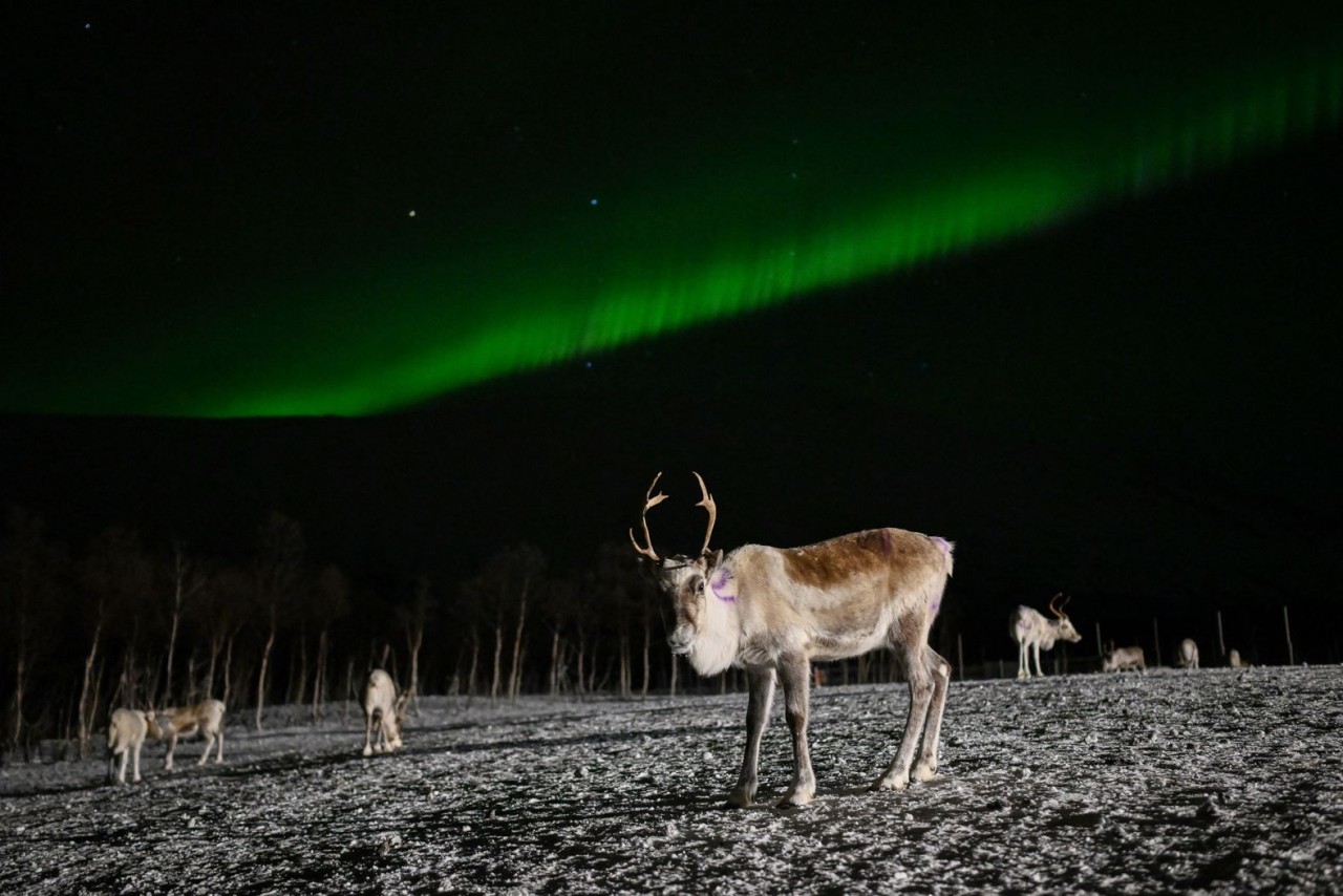 Ảnh ấn tượng (1 7/1): Nga nói tiến bộ ‘hơn tất cả những nước khác’ về sản xuất vũ khí, cơ sở khí đốt Ukraine bốc cháy, đánh bom đẫm máu ở Iran