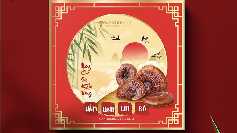 Minh Khánh Gia Lai - Nơi gieo mầm thần dược nấm linh chi đỏ Tây Nguyên