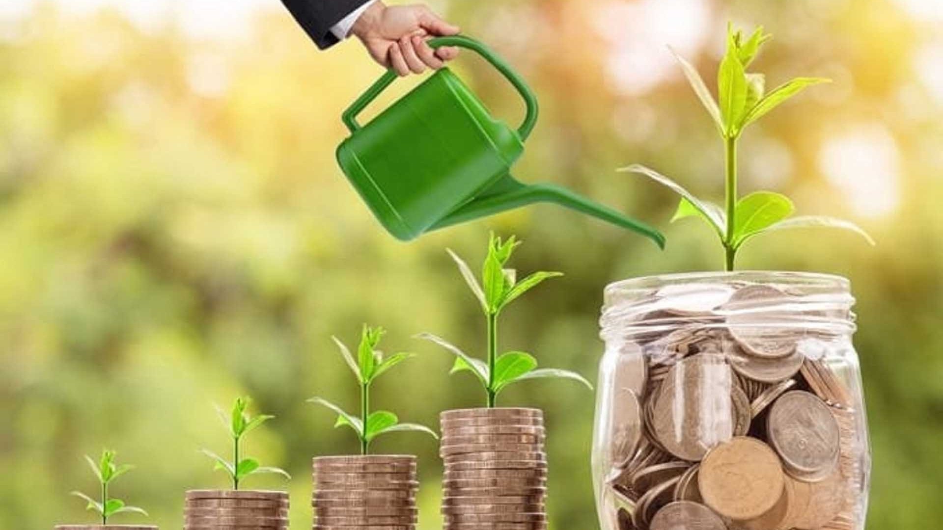 Thị trường carbon: Thăng trầm và kỳ vọng!