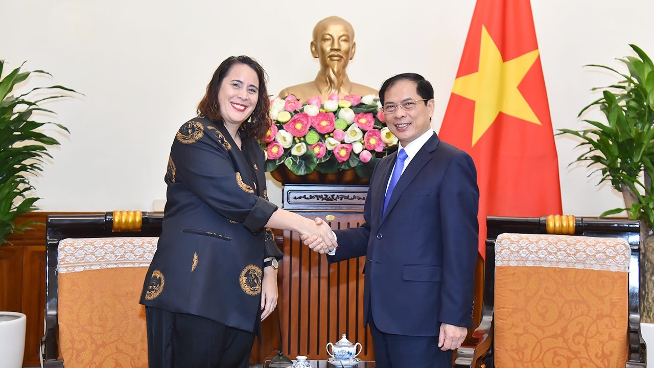 Bộ trưởng Ngoại giao Bùi Thanh Sơn tiếp Đại sứ New Zealand Tredene Dobson chào từ biệt