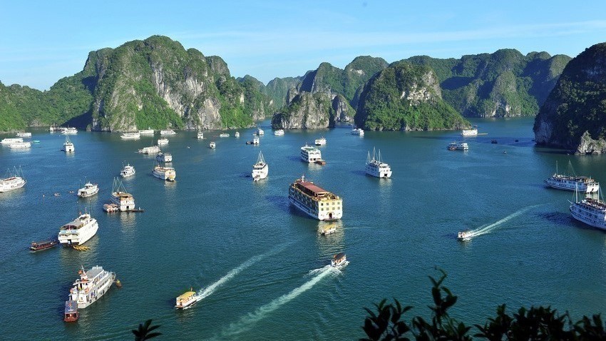 Điểm đến thịnh hành toàn thế giới của TripAdvisor gọi tên Vịnh Hạ Long và Sa Pa