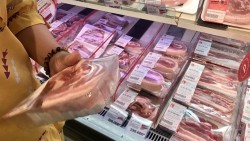 Giá heo hơi hôm nay 10/2: Điều chỉnh giảm rải rác, giao dịch phổ biến trong vùng giá 71.000 - 75.000 đồng/kg