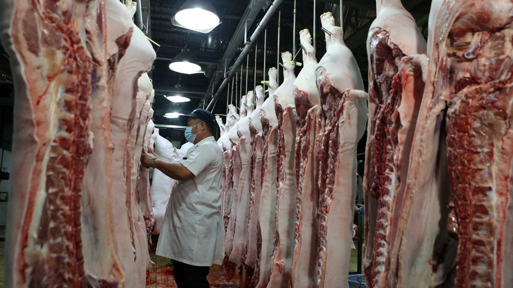 Giá heo hơi hôm nay 18/1: Giá heo hơi tiếp tục nhích lên, chạm mốc 58.000 đồng/kg, cơ cấu ngành chăn nuôi có sự thay đổi