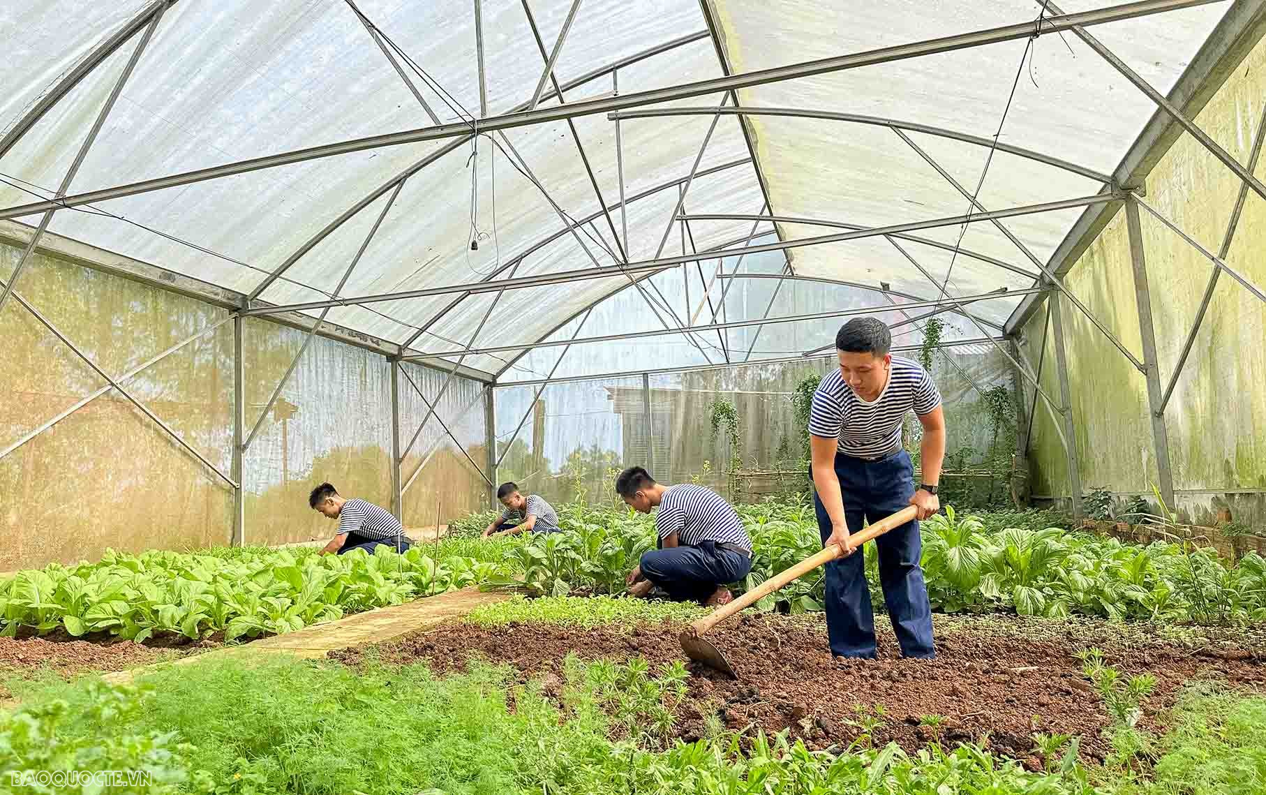 Cán bộ, chiến sĩ và nhân dân đảo Hòn Chuối vui đón xuân sớm Cán bộ, chiến sĩ và nhân dân đảo Hòn Chuối vui đón xuân sớm