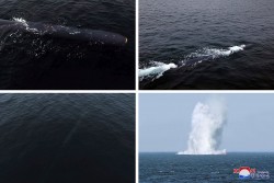 Hàn Quốc không tin Triều Tiên có vũ khí hạt nhân dưới nước, Bình Nhưỡng vì mình thanh minh