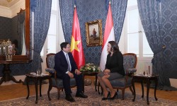 Việt Nam luôn coi trọng và mong muốn tăng cường hợp tác với Hungary