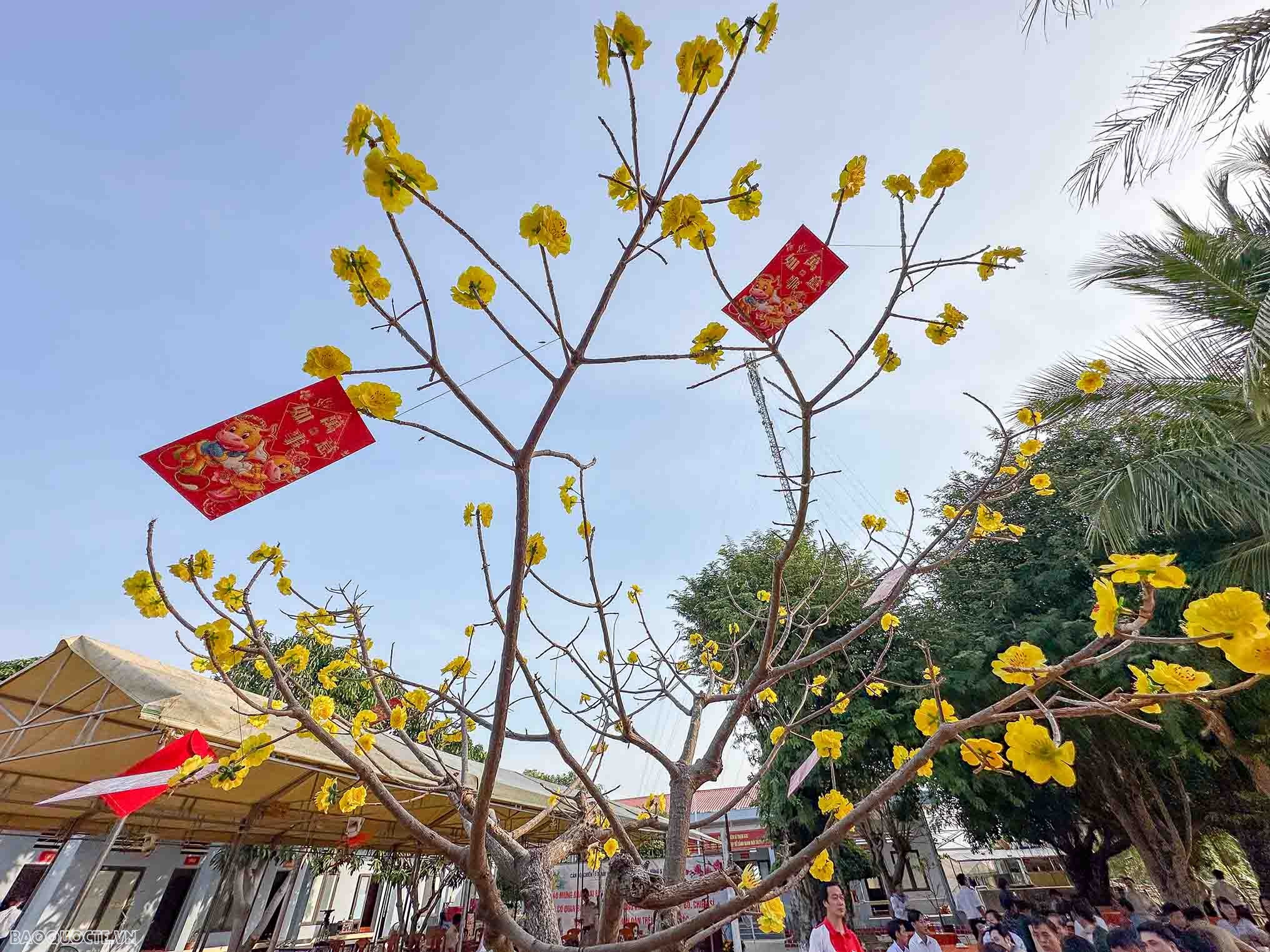 Điểm đến cuối cùng trong hành trình mang Tết đến với cán bộ, chiến sĩ nơi đảo xa Điểm đến cuối cùng trong hành trình mang Tết đến với cán bộ, chiến sĩ nơi đảo xa