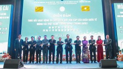 Nhiều thành quả trong quan hệ hữu nghị truyền thống giữa Móng Cái (Việt Nam) và Đông Hưng (Trung Quốc) năm 2023