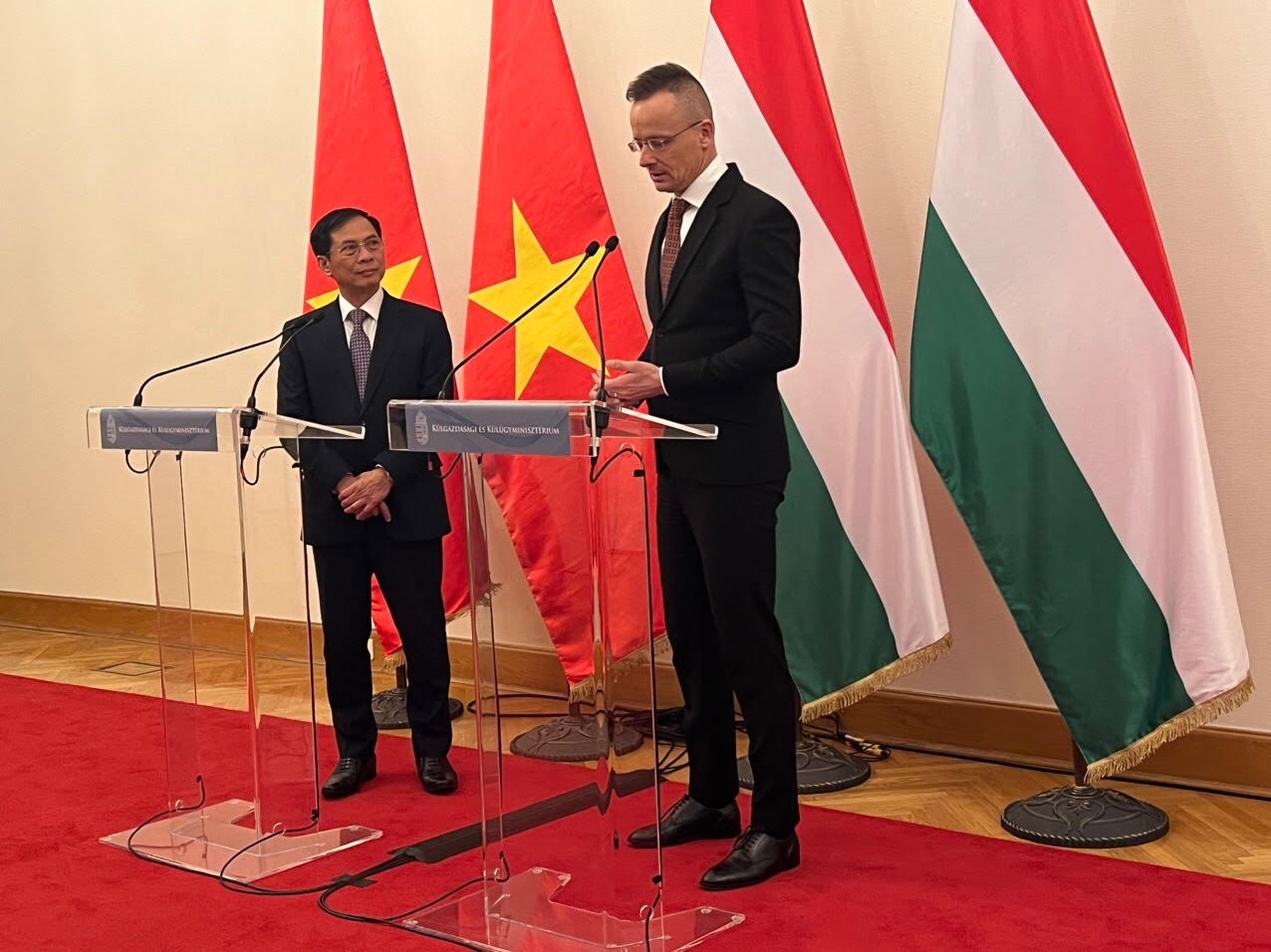 Bộ trưởng Ngoại giao Bùi Thanh Sơn trao đổi các biện pháp thúc đẩy quan hệ Việt Nam-Romania, Việt Nam-Hungary