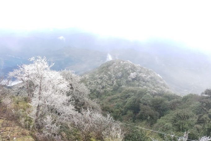 Băng giá hình thành trên đỉnh núi Phia Oắc, huyện Nguyên Bình, tỉnh Cao Bằng, chiều 22/1. (Ảnh: Bế Quốc Vinh) Băng giá hình thành trên đỉnh núi Phia Oắc, huyện Nguyên Bình, tỉnh Cao Bằng, chiều 22/1. (Ảnh: Bế Quốc Vinh)