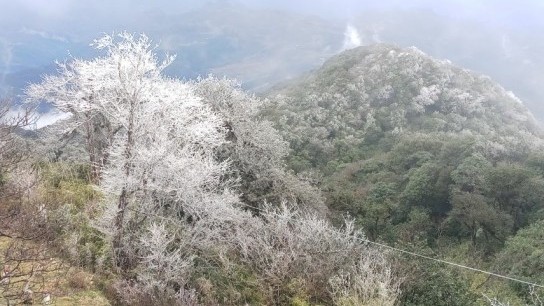 Cao Bằng: Đỉnh Phia Oắc xuất hiện băng giá, công tác phòng chống rét được chuẩn bị chu đáo