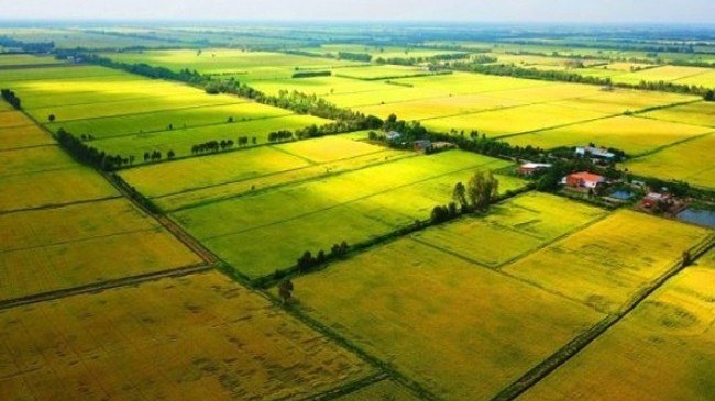 Luật Đất đai năm 2024: Tăng cường quyền làm chủ của nhân dân