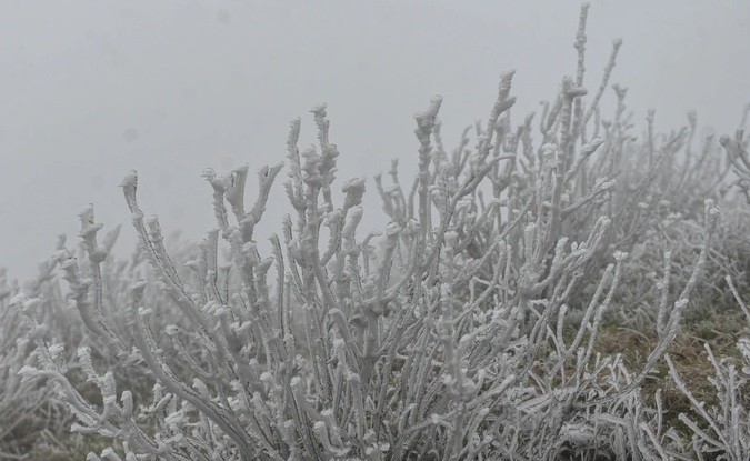 Theo Trung tâm Dự báo khí tượng thủy văn quốc gia, lúc 6h sáng nay (23/1), nhiệt độ quan trắc được tại Mẫu Sơn (Lạng Sơn) đã xuống mức -0,9 độ C. Đây là nhiệt độ thấp nhất trong các trạm đo khí tượng ở miền Bắc. (Nguồn: Dân trí)