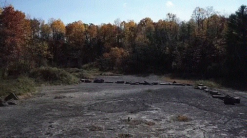 Mỹ: Khai quật hóa thạch khu rừng cổ đại lâu đời nhất thế giới, khoảng 385 triệu năm