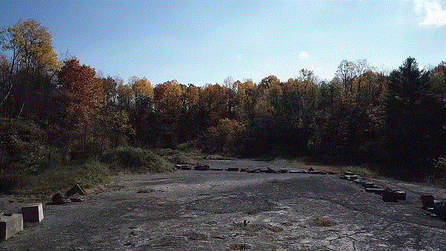 Mỹ: Khai quật hóa thạch khu rừng cổ đại lâu đời nhất thế giới, khoảng 385 triệu năm