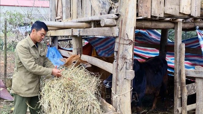 Bắc Bộ tiếp tục rét hại, Đông Nam Bộ nguy cơ xâm nhập mặn do triều cường