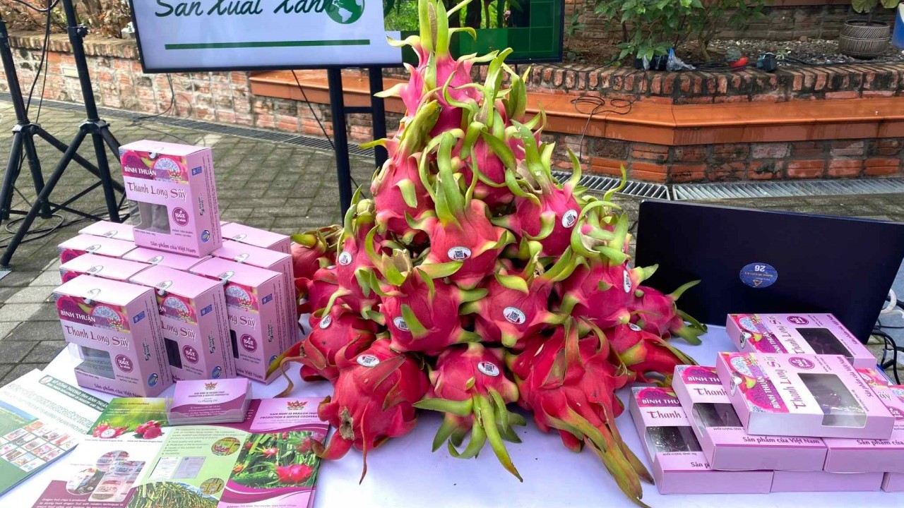 Thanh long xanh của Bình Thuận góp phần bảo vệ môi trường