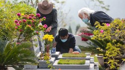 Ngày tảo mộ năm 2024 là ngày nào?