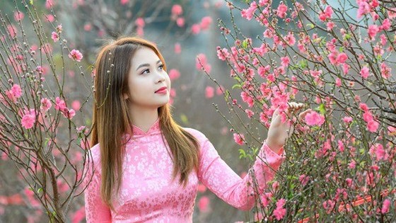 Chi tiết lịch nghỉ Tết Nguyên đán Giáp Thìn 2024