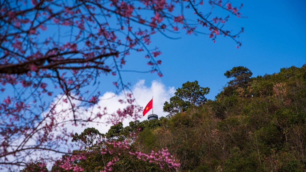 Tết này đi du lịch ở đâu?