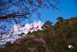 Tết này đi du lịch ở đâu?