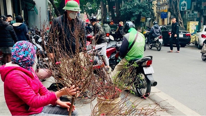 Dự báo thời tiết dịp Tết Giáp Thìn 2024