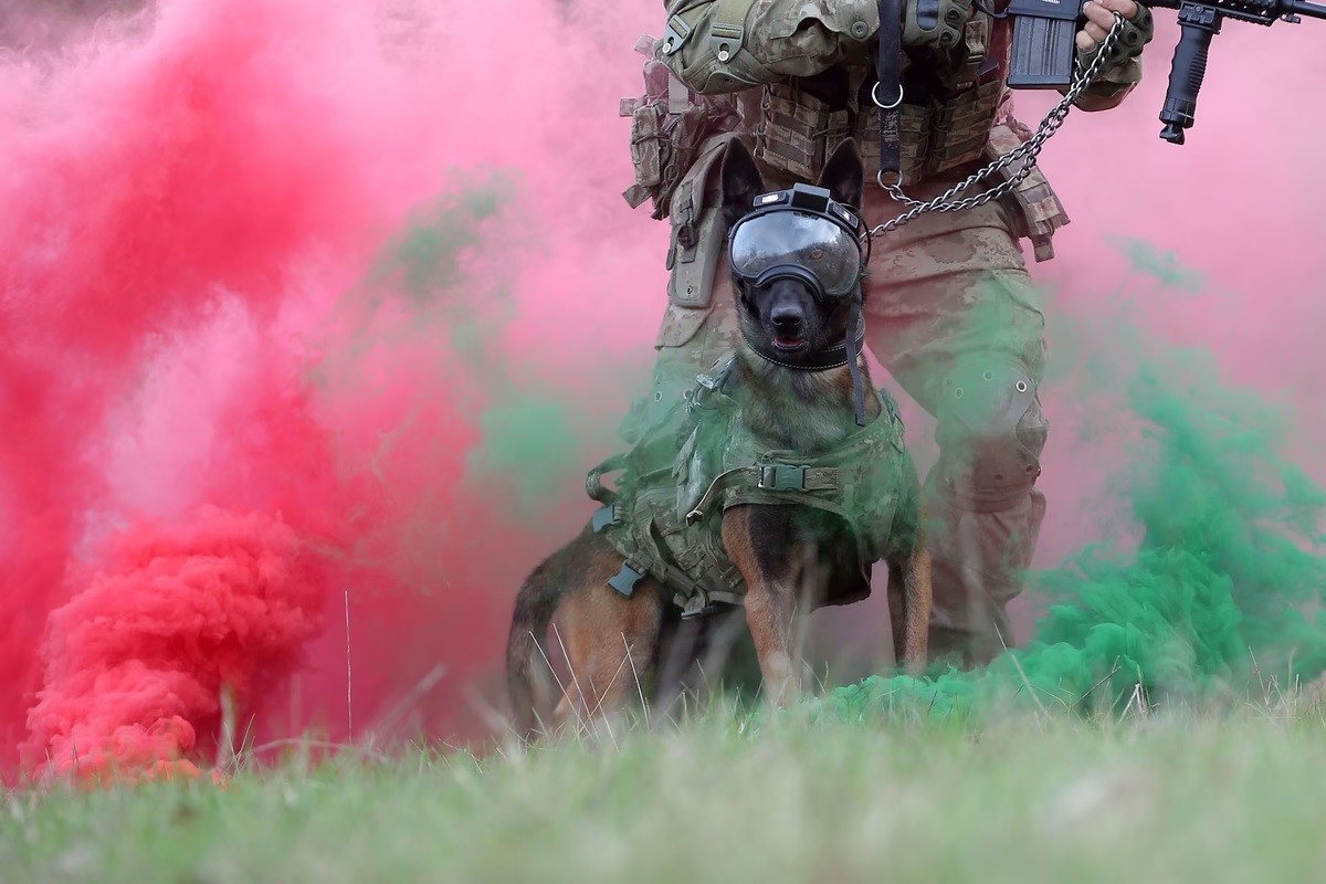 Ảnh ấn tượng (29/1-4/2): Nga nêu ‘thủ phạm’ bắn máy bay chở tù nhân Ukraine; Hungary gây 'kinh ngạc' cho EU, Thủ tướng Đức cười hài lòng