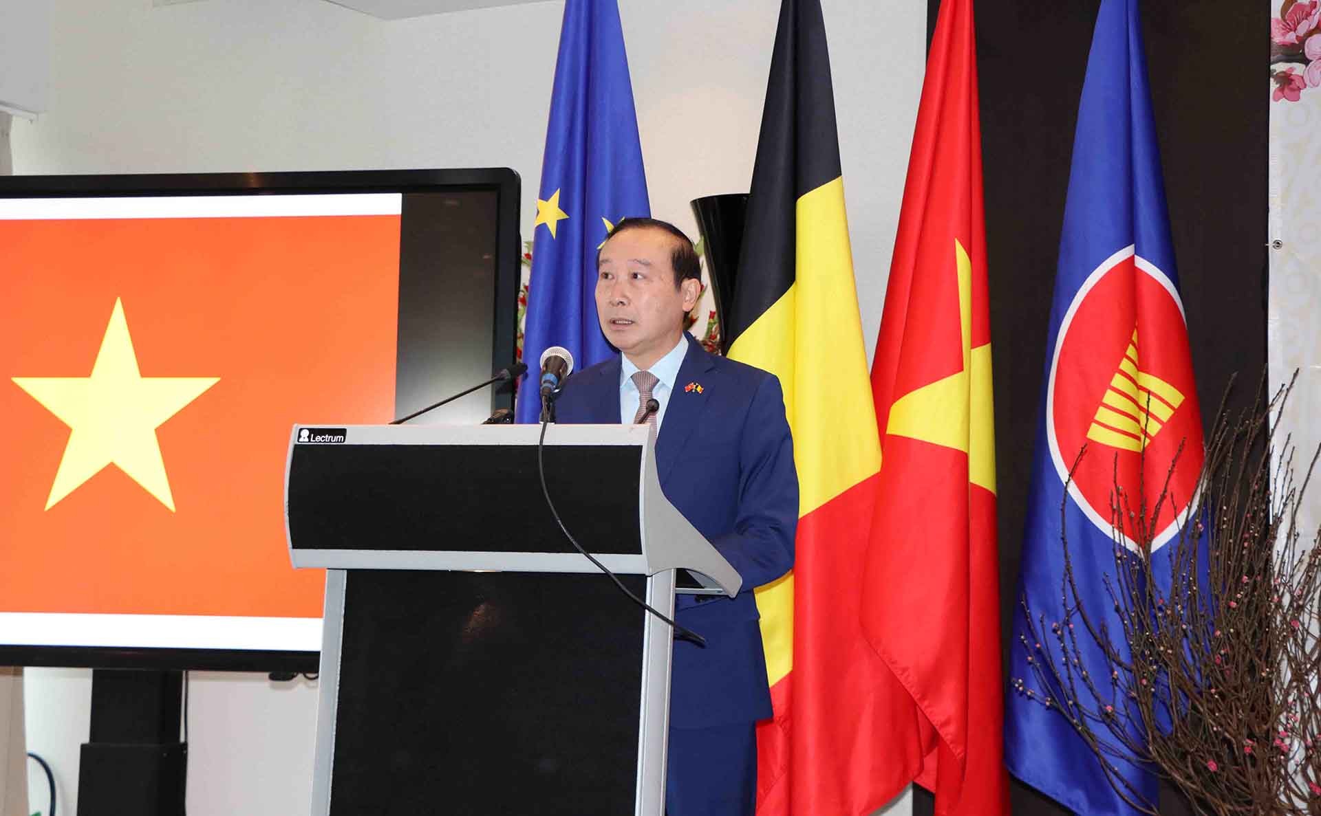 Tết cộng đồng mừng Xuân Giáp Thìn 2024 tại Bỉ: Ấm áp và đậm đà bản sắc dân tộc Tết cộng đồng mừng Xuân Giáp Thìn 2024 tại Bỉ: Ấm áp và đậm đà bản sắc dân tộc