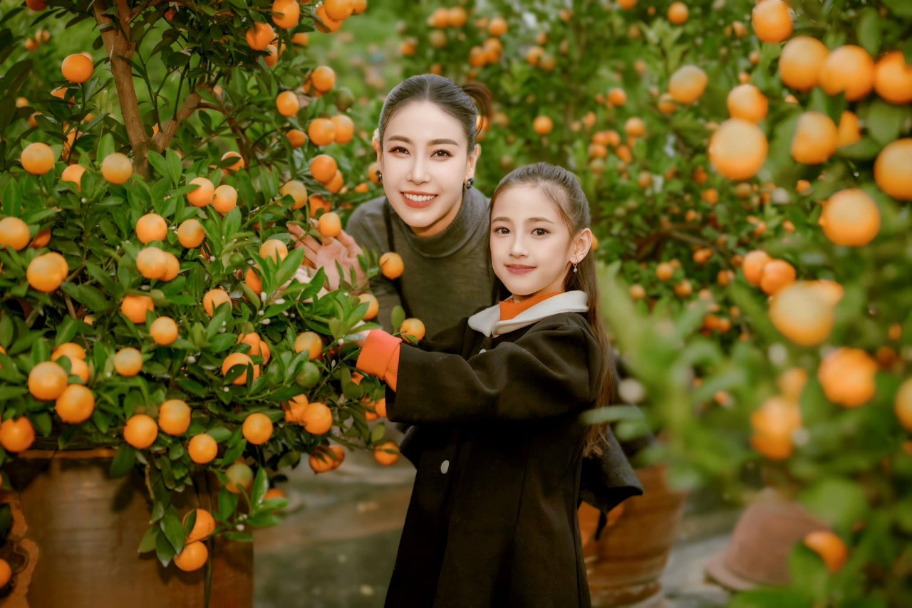 Sao Việt đón Tết