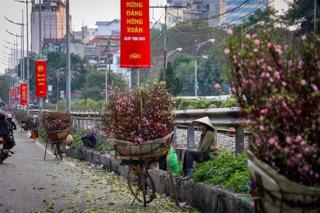 Một số tiểu thương bán đào đợi khách trên lề phố... (Ảnh: Minh Hiếu/Vietnam+) Một số tiểu thương bán đào đợi khách trên lề phố... (Ảnh: Minh Hiếu/Vietnam+)