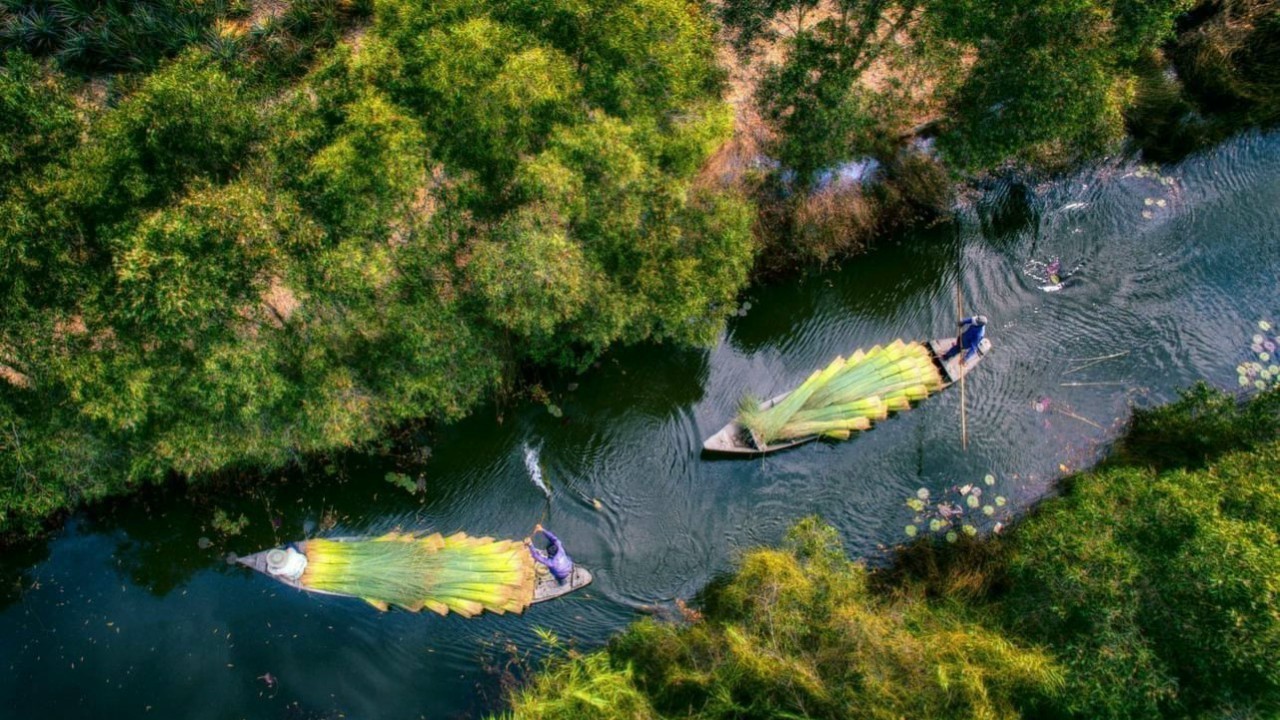 Tết cổ truyền về với chốn xanh bình yên Khu Bảo tồn Đồng Tháp Mười