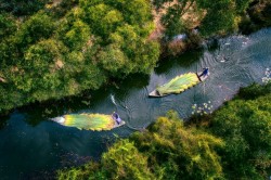 Tết cổ truyền về với chốn xanh bình yên Khu Bảo tồn Đồng Tháp Mười