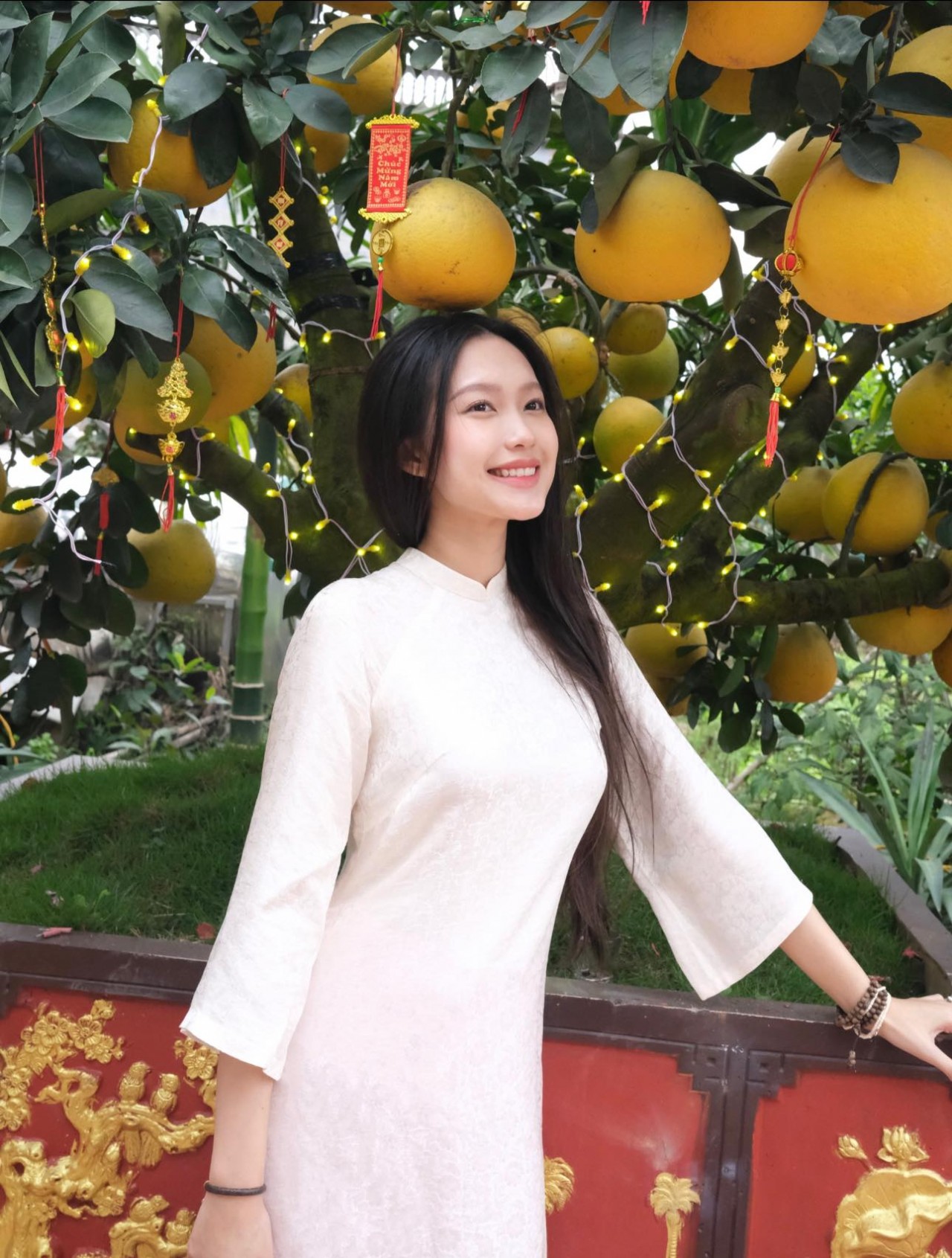 Doãn Hải My Doãn Hải My