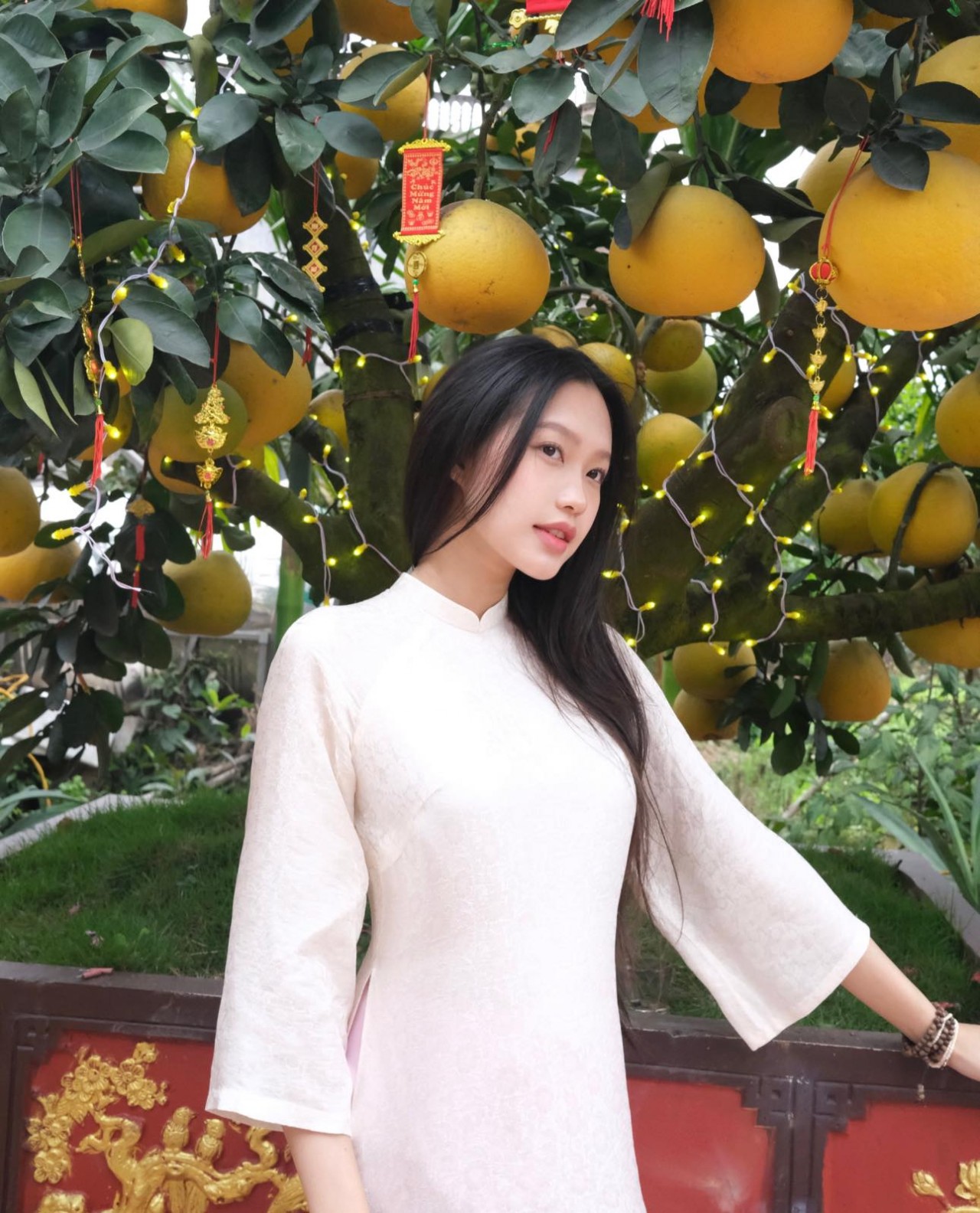 Doãn Hải My Doãn Hải My