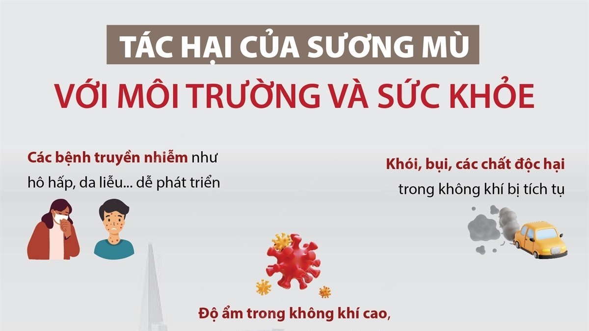 Sương mù khiến vi khuẩn, virus phát triển nhanh hơn trong cơ thể người