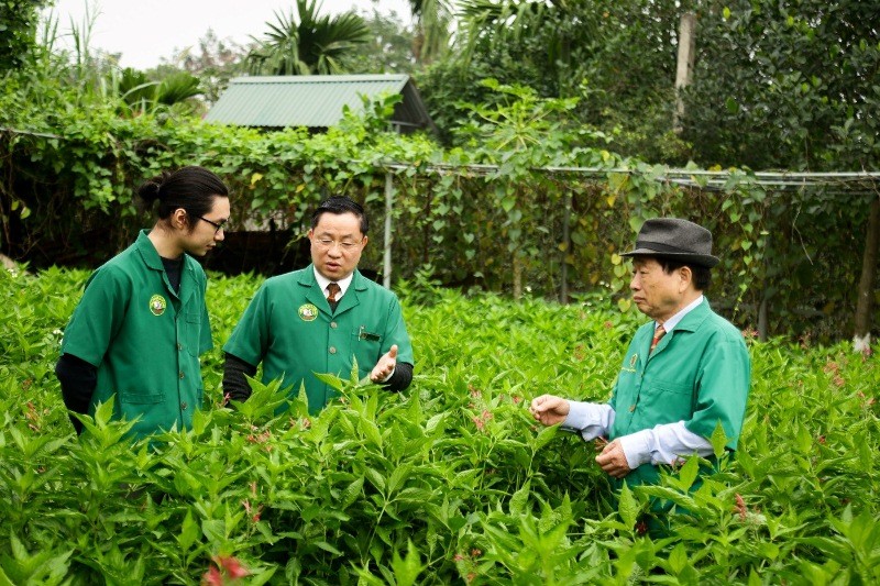 Chuyện về gia tộc làm nghề thuốc nhiều đời nhất Việt Nam Chuyện về gia tộc làm nghề thuốc Đông y nhiều đời nhất Việt Nam