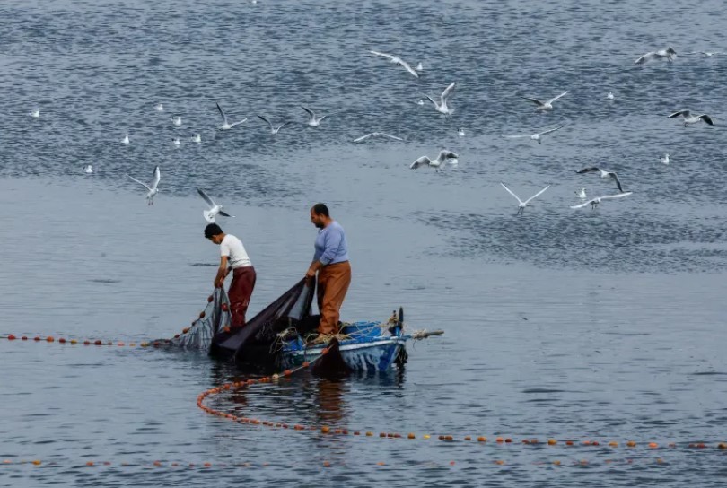 Chuyển động mới quanh xung đột ở Dải Gaza và những vấn đề không mới Chuyển động mới quanh xung đột ở Dải Gaza và những vấn đề không mới
