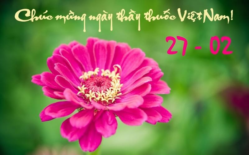 Lời chúc 27/2 - Lời chúc ngày Thầy thuốc Việt Nam 27/2/2024 hay và ý nghĩa nhất