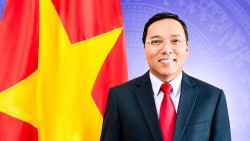 Mở cánh cửa mới cho hợp tác Việt Nam - Ireland