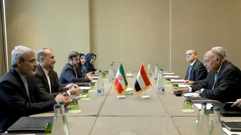 Ngoại trưởng Ai Cập: Mối đe dọa ở Biển Đỏ gây tổn hại trực tiếp đến lợi ích của Cairo